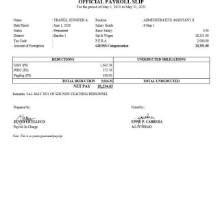 Pay summary report pay stub download template file