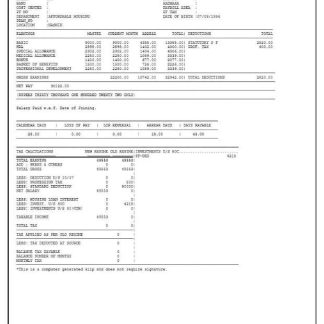 Paycor BWI NORTH AMERICA, INC. earnings statement template in Word and PDF formats.pdf, 1 download template file