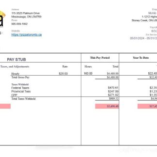 Paycor paystub download template file