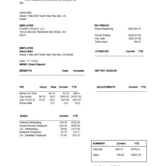 Peopleready Paystub download template file