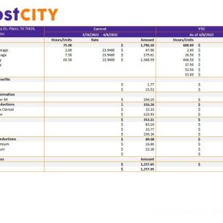 PHILIPPINES PRO Source Global BPO Inc. paystub in Word and PDF format download template file