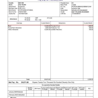 Piramal Financial Services payslip template in Word and PDF formats.pdf, 1 download template file