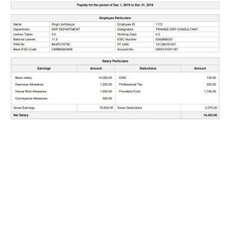 Pizza Toronto pay stub template in Word and PDF formats.pdf, 1 download template file