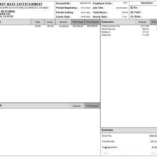 PJE Jewels payslip template in Word and PDF formats.pdf, 1 download template file