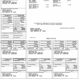 PLANET POOCH, LLC earnings statement template in Word and PDF formats.pdf, 1 download template file