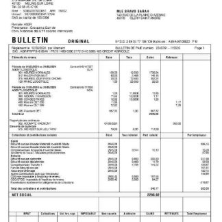 post city company earning statement template in Word and PDf formats download template file