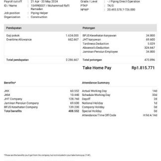 public media company  earning statement in Word and PDF formats download template file