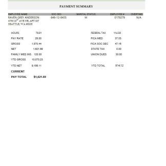 Purview India Consulting and Services payslip template in Word and PDF formats.pdf, 1 download template file