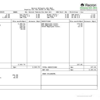 quarrying company fully editable paystub template in Word and PDF formats download template file