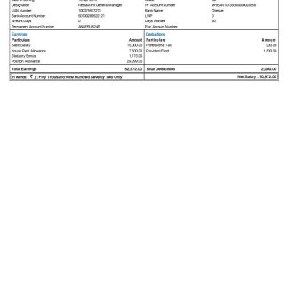 Radisson Blu Hotel & Spa payslip template in Word and PDF formats.pdf, 1 download template file