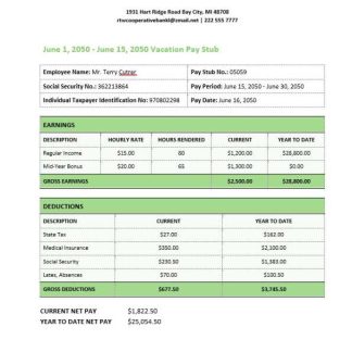 Recreational equipment LLC pay stub in PDF and WORD format download template file