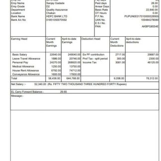 Automotive company pay advise template in Word and PDF formats download template file