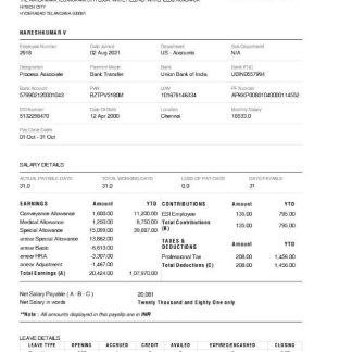 Restaurant Brands Asia payslip template in Word and PDF formats.pdf, 1 download template file