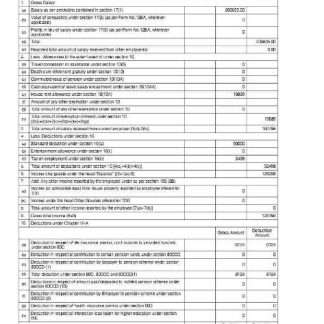 retail company earning statement in Word and PDf formats download template file