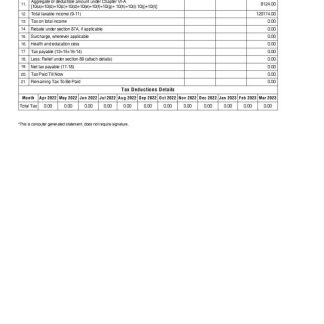 Richland County Finance Department paystub download template file