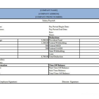 Richland County Finance Department paystub download template file