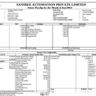 ROYAL COUTURE NAIL LOUNGE pay stub in PDF and Word format download template file