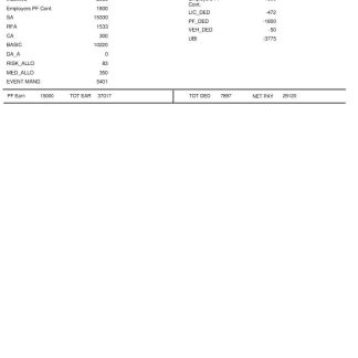 Royal Inn company pay stub in PDF and Word formats download template file