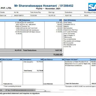 RTW Cooperative bank vacation  pay stub in PDf and Word formats download template file