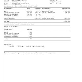 Runway Kicks company payslip template in Excel and PDF formats download template file