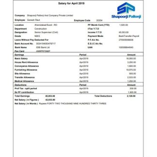salary pay stub template, version 2 download template file
