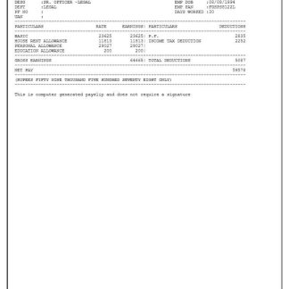 Santokba Durlabhji Memorial Hospital payslip template in Word and PDF formats.pdf, 1 download template file
