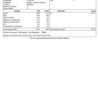 Sap Labs Payslip download template file
