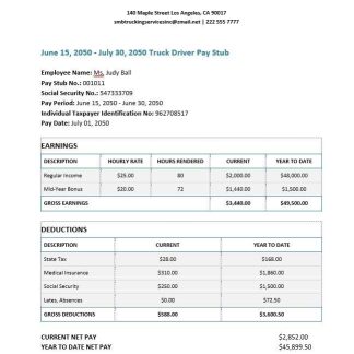 scientific company payroll statement in Word and PDF formats download template file