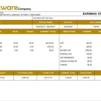 senior sales executive salary slip Word and PDF template screen download template file