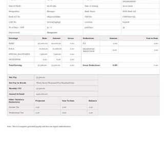 SFS Group payslip template in Word and PDF formats.pdf, 1 download template file