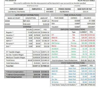 Shapoorji Pallonji employee pay stub in PDF and Word formats download template file
