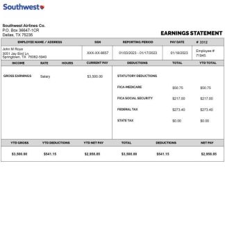 SHIELDGEO payslip in Word and PDF formats download template file
