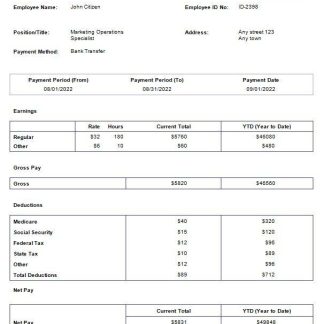 software company paystub template in Word and PDF formats download template file