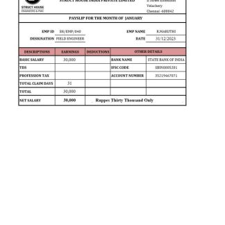 South Dakota payroll e stub Word and PDF template download template file