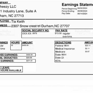 Ayansys Solutions software company template in Word and PDF formats.pdf, 1 download template file