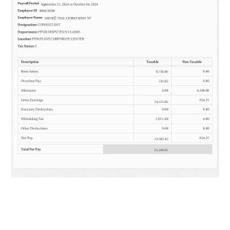 Spain Keld electronic company download template file