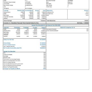 sportswear company earning statement template in Excel and PDF formats download template file