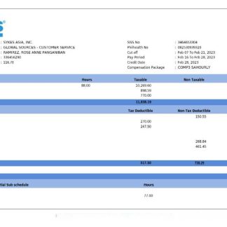 Square Yards Consulting payslip template in Word and PDF formats.pdf, 1 download template file