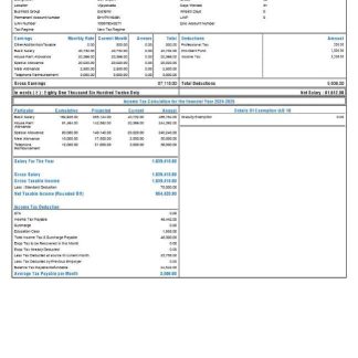 SRDT media, education, publishing payslip template in Word and PDF formats.pdf, 1 download template file