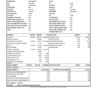Starbucks Coffee Company earnings statement template in Word and PDF formats.pdf, 1 download template file