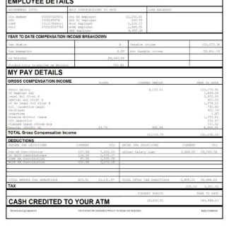 State Bank of India payslip template in Word and PDF formats.pdf, 1 download template file