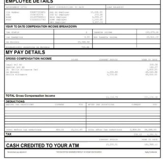 Steel Authority of India payslip template in Word and PDF formats.pdf, 1 download template file