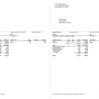 stockbrokers company payslip template in Word and PDF formats download template file