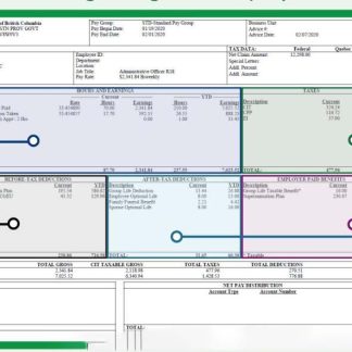 B Sheezy LLC earnings statement template in Word and PDF formats.pdf, 1 download template file