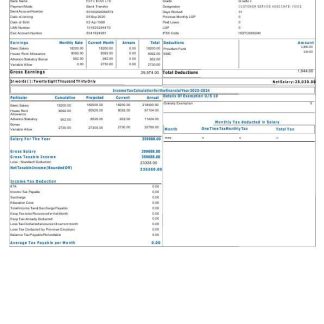 TaskUs LizardBear Tasking earnings template in Word and PDF formats.pdf, 1 download template file