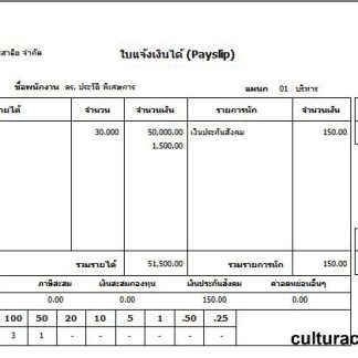 TCG Construction Inc. Employee Paystub download template file