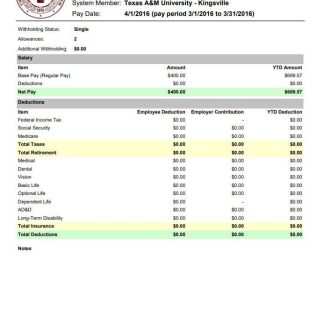 Team Computers salary slip template in Word and PDF formats.pdf, 1 download template file