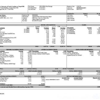 TEAMBUILD solutions Ptr Ltd payslip in Word and PDF formats download template file