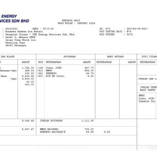 TeamLease Digital payslip template in Word and PDF formats.pdf, 1 download template file