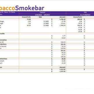Techno Engineers payslip template in Word and PDF formats.pdf, 1 download template file